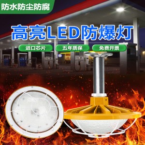 led explosion-proof light